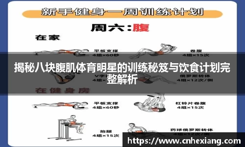 揭秘八块腹肌体育明星的训练秘笈与饮食计划完整解析