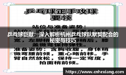 乒乓球巨献：深入解析杭州乒乓球队默契配合的秘密与技巧
