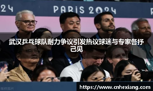 武汉乒乓球队耐力争议引发热议球迷与专家各抒己见