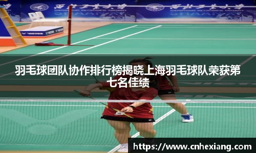 羽毛球团队协作排行榜揭晓上海羽毛球队荣获第七名佳绩