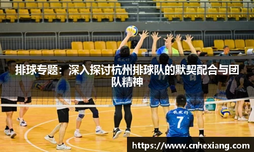 排球专题：深入探讨杭州排球队的默契配合与团队精神