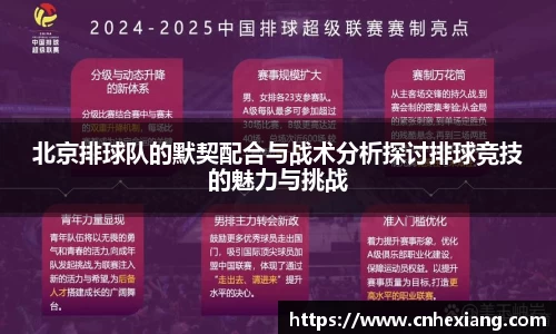 北京排球队的默契配合与战术分析探讨排球竞技的魅力与挑战