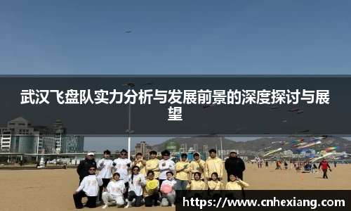 武汉飞盘队实力分析与发展前景的深度探讨与展望