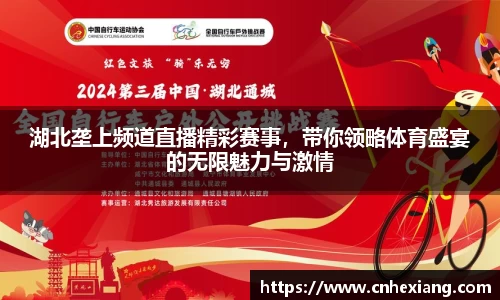湖北垄上频道直播精彩赛事，带你领略体育盛宴的无限魅力与激情