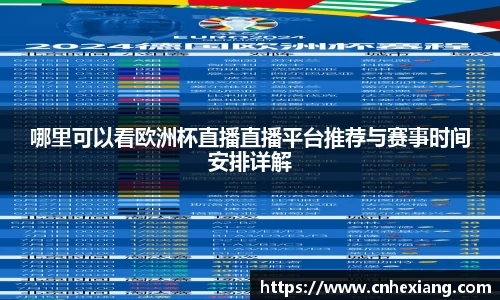 哪里可以看欧洲杯直播直播平台推荐与赛事时间安排详解