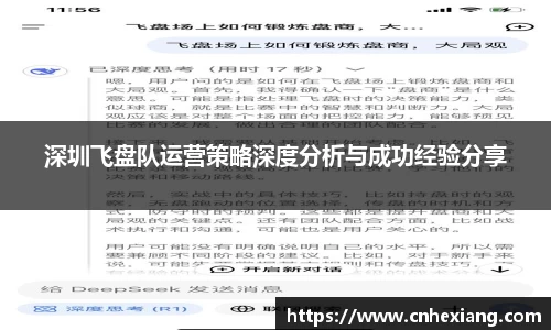 深圳飞盘队运营策略深度分析与成功经验分享