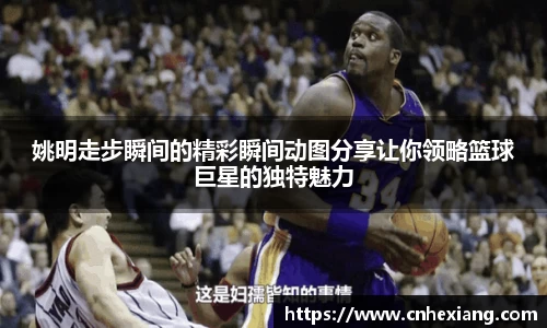 姚明走步瞬间的精彩瞬间动图分享让你领略篮球巨星的独特魅力