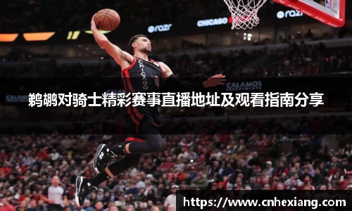 鹈鹕对骑士精彩赛事直播地址及观看指南分享