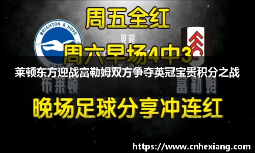 莱顿东方迎战富勒姆双方争夺英冠宝贵积分之战