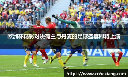 欧洲杯精彩对决荷兰与丹麦的足球盛宴即将上演